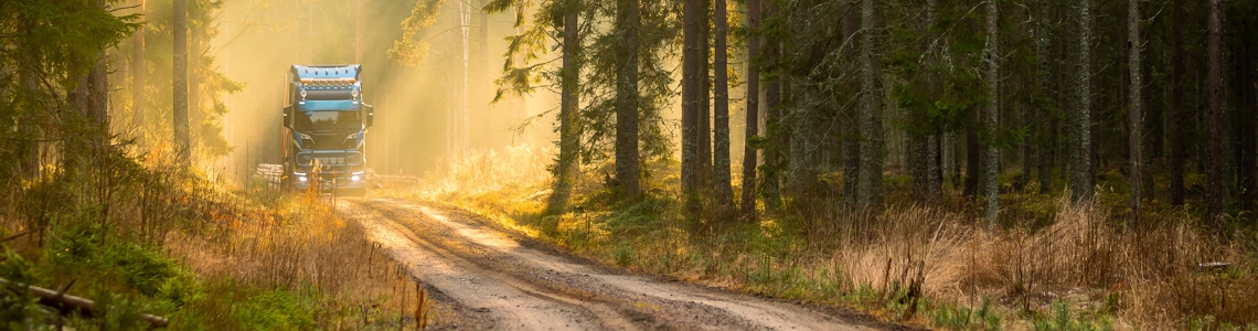 Timmerlastbil kommer på en skogsbilväg långt borta samtidigt som solstrålarna lyser in genom trädstammarna i skogen.